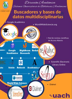 Buscadores Y Bases De Datos Multidisciplinarias