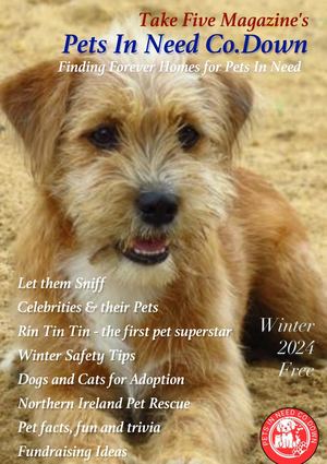 Pets In Need Co Down Winter 2024