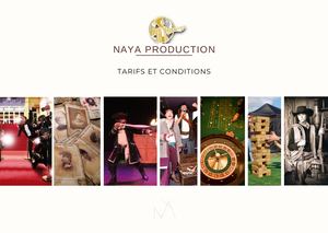 Catalogue Naya Prod Conditions