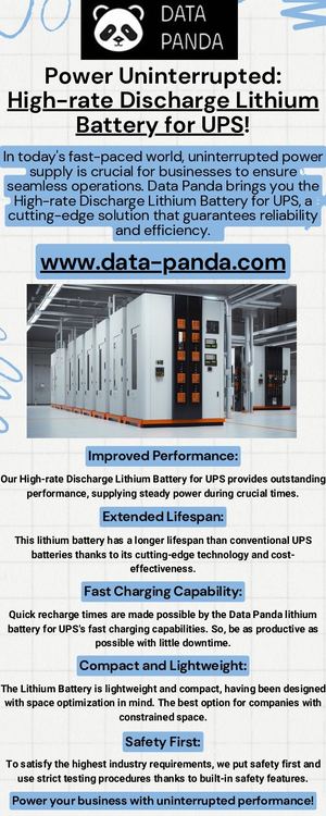 Power Uninterrupted High Rate Discharge Lithium Battery For Ups!