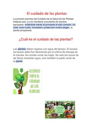 El Cuidado De Las Plantas