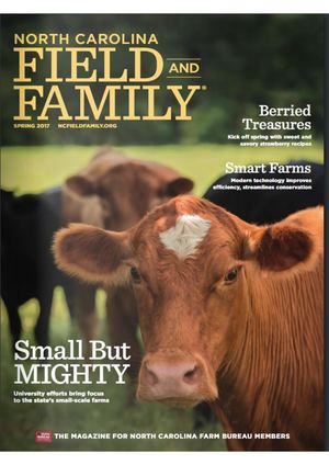 410d John Deere Backhoe Loaders Service Manual (Tm1513)