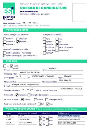 Esi Dossier De Candidature 2024