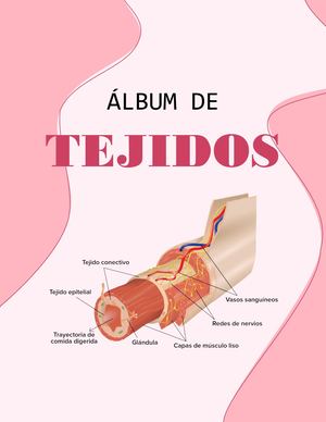 Album De Tejidos