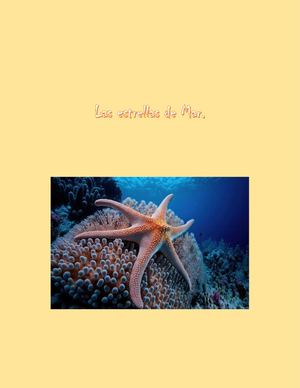 Las Estrellas De Mar
