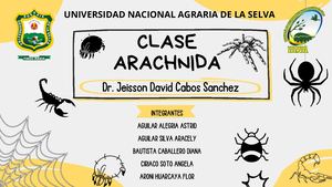 ARACNIDOS
