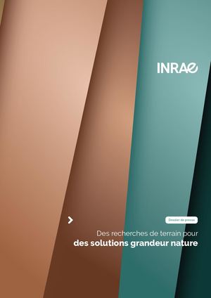 Des recherches de terrain pour des solutions grandeur nature