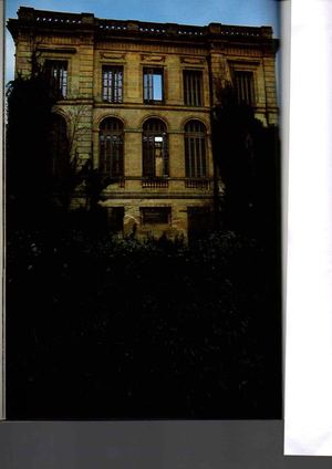 L'amateur De Bordeaux N°15