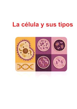La Célula Y Sus Tipos