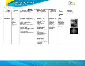 Cuadro Comparativo Erika Zuluaa protocolos
