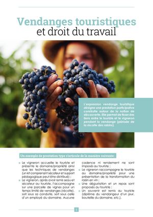 Vendanges Touristiques Et Droit Du Travail