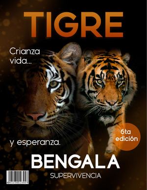 Tigre De Bengala Supervivencia