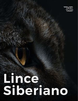 Lince Siberiano (Animal Favorito)