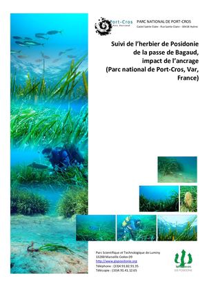 Suivi de l'herbier de Posidonie de la passe de Bagaud, impact de l'ancrage (Parc national de Port-Cros, Var, France)