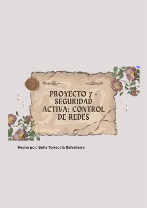 Trabajo 7 Sein