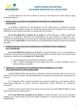 Cpte Rendu Synthetique Conseil Municipal 2 Juillet 2022