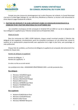 Cpte Rendu Synthetique Conseil Municipal 9 Juin 2023