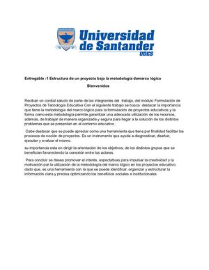 Entregable N°1 Estructura De Un Proyecto De Marco Lógico
