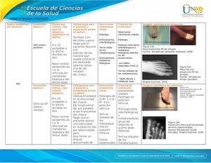 Anexo 1 Grupal A Entregar