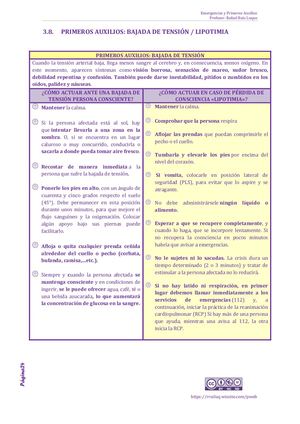 Tríptico Bajada Tensión Pdf