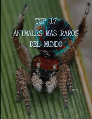 Top 17 Animales Más Raros Del Mundo