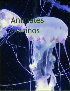 Animales Marinos