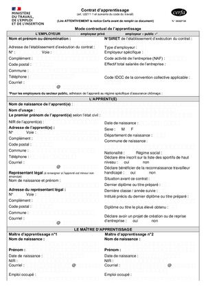 Cerfa Apprentissage Dscg