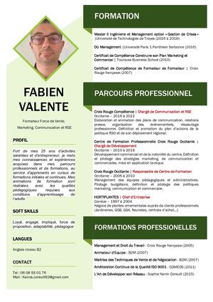 Cv Fabien Valente