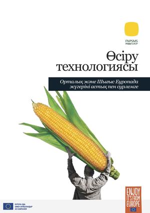 Өсіру технологиясы - Орталық және Шығыс Еуропада жүгеріні астық пен сурлемге