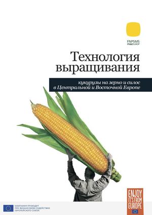 Технология выращивания - кукурузы на зерно и силос в Центральной и Восточной Европе