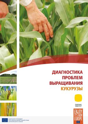 ДИАГНОСТИКА ПРОБЛЕМ ВЫРАЩИВАНИЯ КУКУРУЗЫ КАМПАНИЯ ПРОХОДИТ