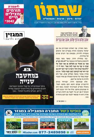 1161 שבתון כי תשא