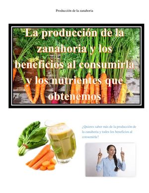 La producción de la zanahoria y sus beneficios