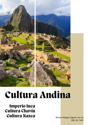 Cultura Andina