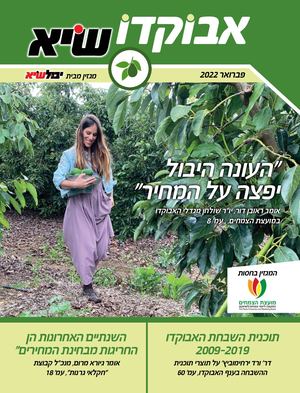 אבוקדו שיא גיליון פברואר 2022