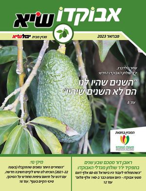 אבוקדו שיא פברואר 2023