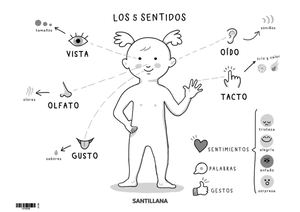 Esquemas Con Dibujos Para Ciencias Naturales