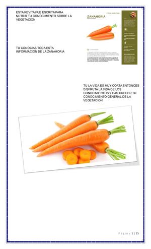 CONOCIMIENTOS DE LA ZANAHORIA