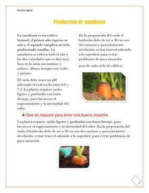 Revista Diguital