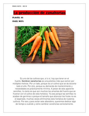 La Producción De Zanahorias