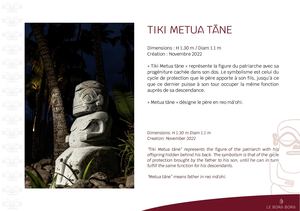 12-Tiki Metua Tāne