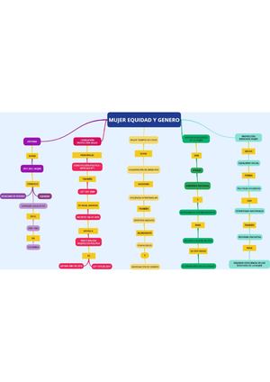 Mujer Equidad Y Genero - Mapa conceptual
