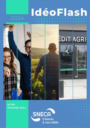 N° 109 Ideoflash 2024