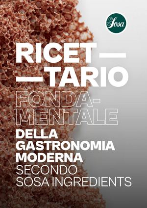 Sosa Ricettario Fondamentale Della Gastronomia Moderna It