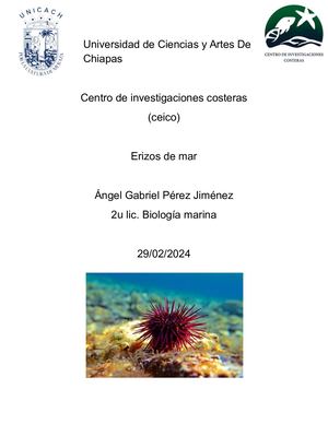 Universidad De Ciencias Y Artes De Chiapas