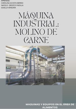 Revista Del Molino De Carne Industrial 20240229 103950 0000