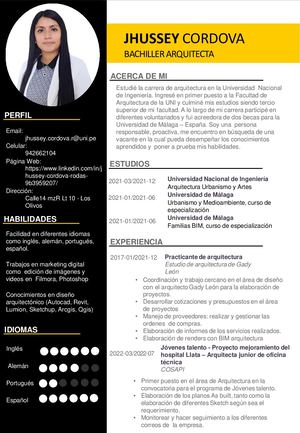 Cv Documentado Jhussey Cordova