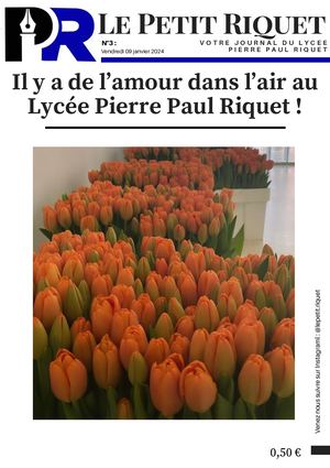 Journal 3, Le Petit Riquet