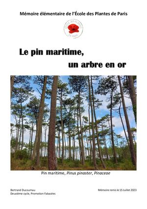 Pin Maritime B Ducournau 2023