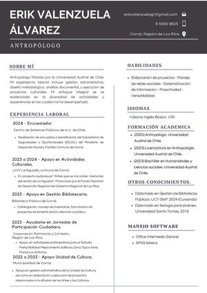 Curriculum Vitae - Erik Valenzuela